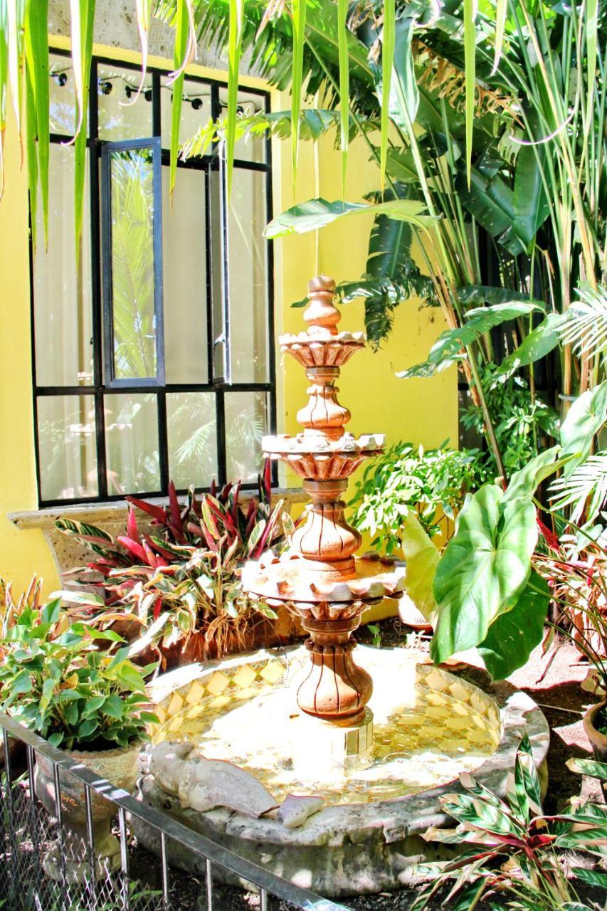 Villa Del Angel Ajijic Extérieur photo